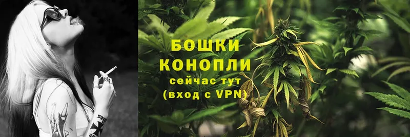 Бошки марихуана Amnesia  ОМГ ОМГ зеркало  Петровск-Забайкальский  как найти наркотики 